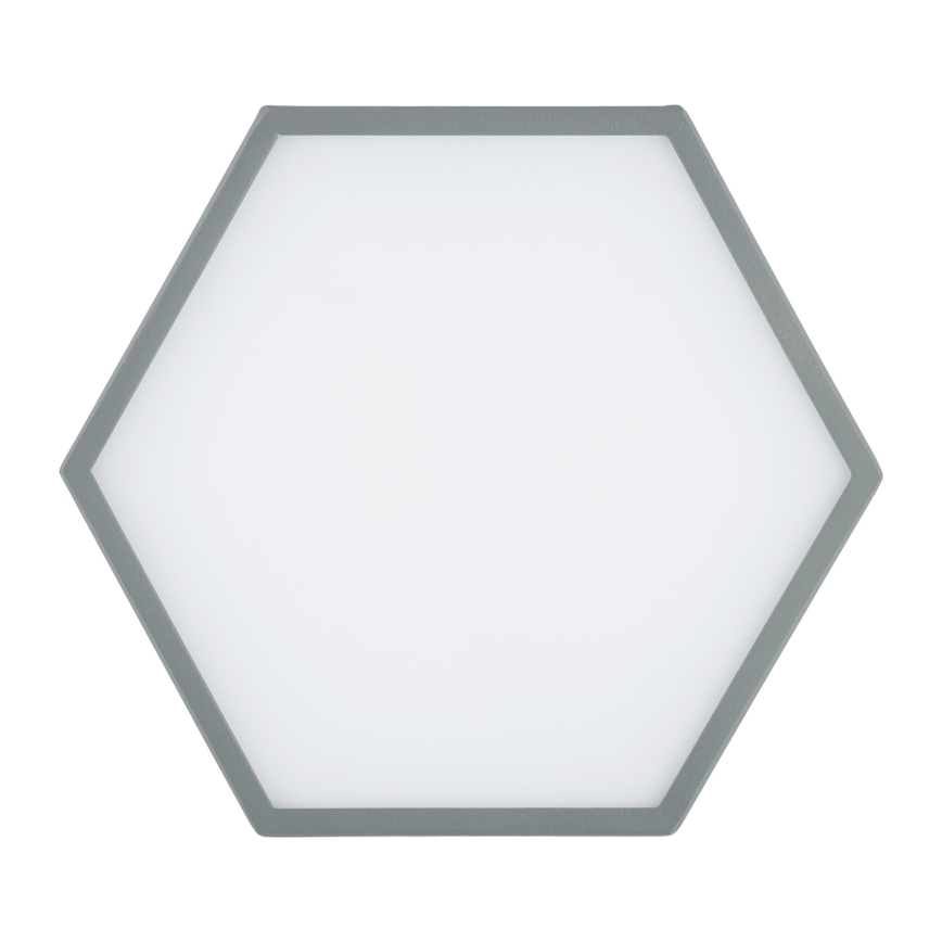 Argon 8784 - LED Laevalgusti LIBERO LED/12W/230V 3000K hall