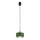Argon 8815 - Lühter TEVO 1xG9/4,5W/230V roheline