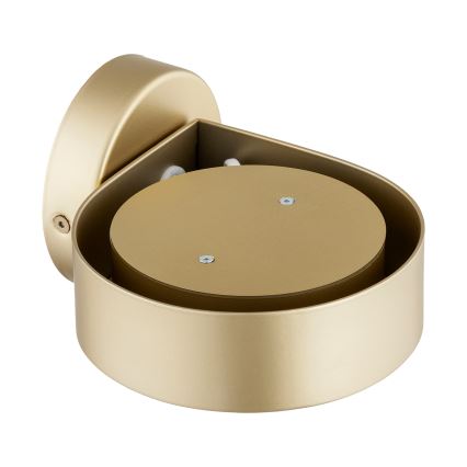 Argon 8899 - Seinavalgusti LOTUS 1xGX53/12W/230V kuldne