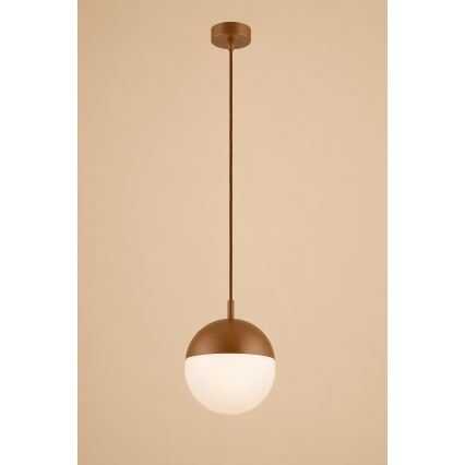 Argon 8998 - välisvalgusti LIV kaablil 1xE27/15W/230V IP44 pruun