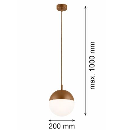 Argon 8998 - välisvalgusti LIV kaablil 1xE27/15W/230V IP44 pruun