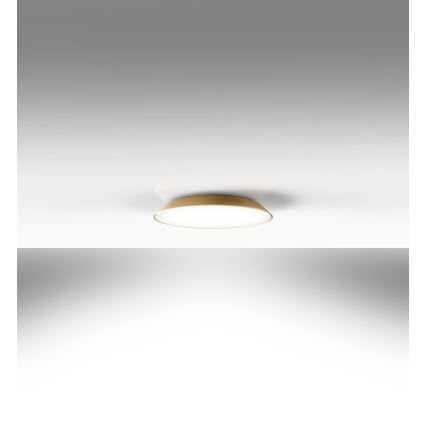 Artemide AR 0241320A - LED Laevalgusti FEBE 4xLED/30W/230V