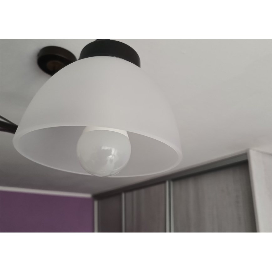 Asendusklaas lühtrile E27, läbimõõt 18 cm, piimjas klaas