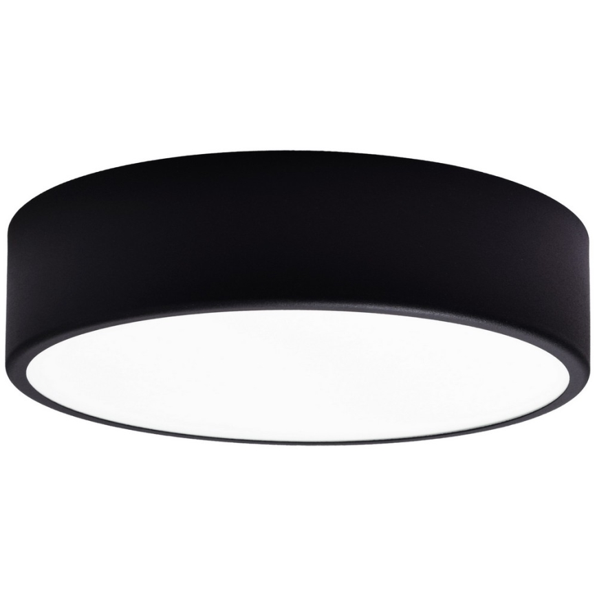 Laevalgusti asendusklaas CLEO 30 cm klaas