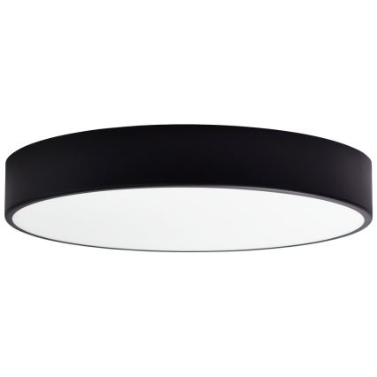 Laevalgusti asendusklaas CLEO 50 cm klaas