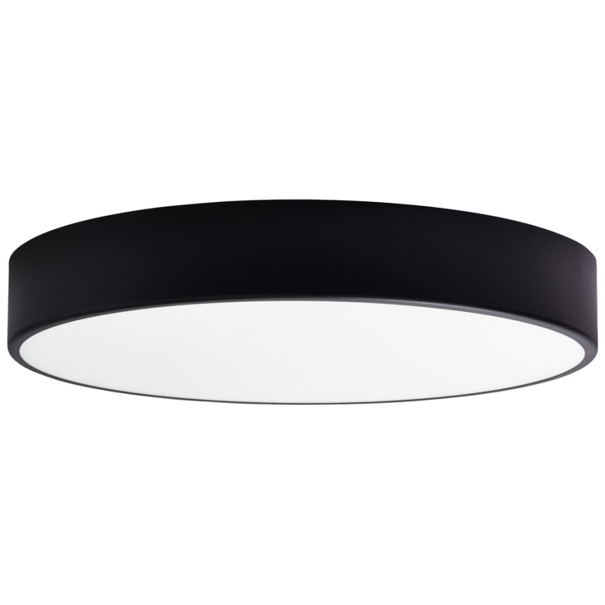 Laevalgusti asendusklaas CLEO 50 cm klaas