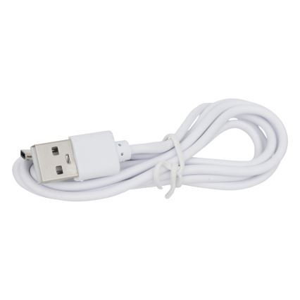 Atmosphera - LED Päikesepaneeliga valgusti KESY LED/1,2V 2200 mAh IP44