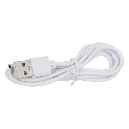 Atmosphera - LED Päikesepaneeliga valgusti KESY LED/1,2V 2200 mAh IP44