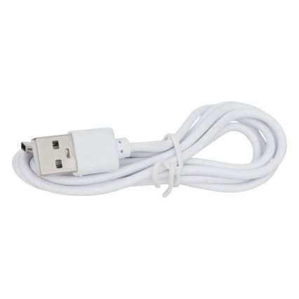 Atmosphera - LED RGBW Laetav väli laualamp ZACK LED/3,7V 1200 mAh IP44 beež