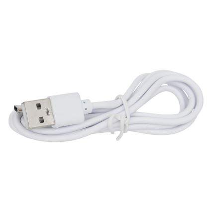 Atmosphera - LED RGBW Laetav väli laualamp ZACK LED/3,7V 1200 mAh IP44 türkiis