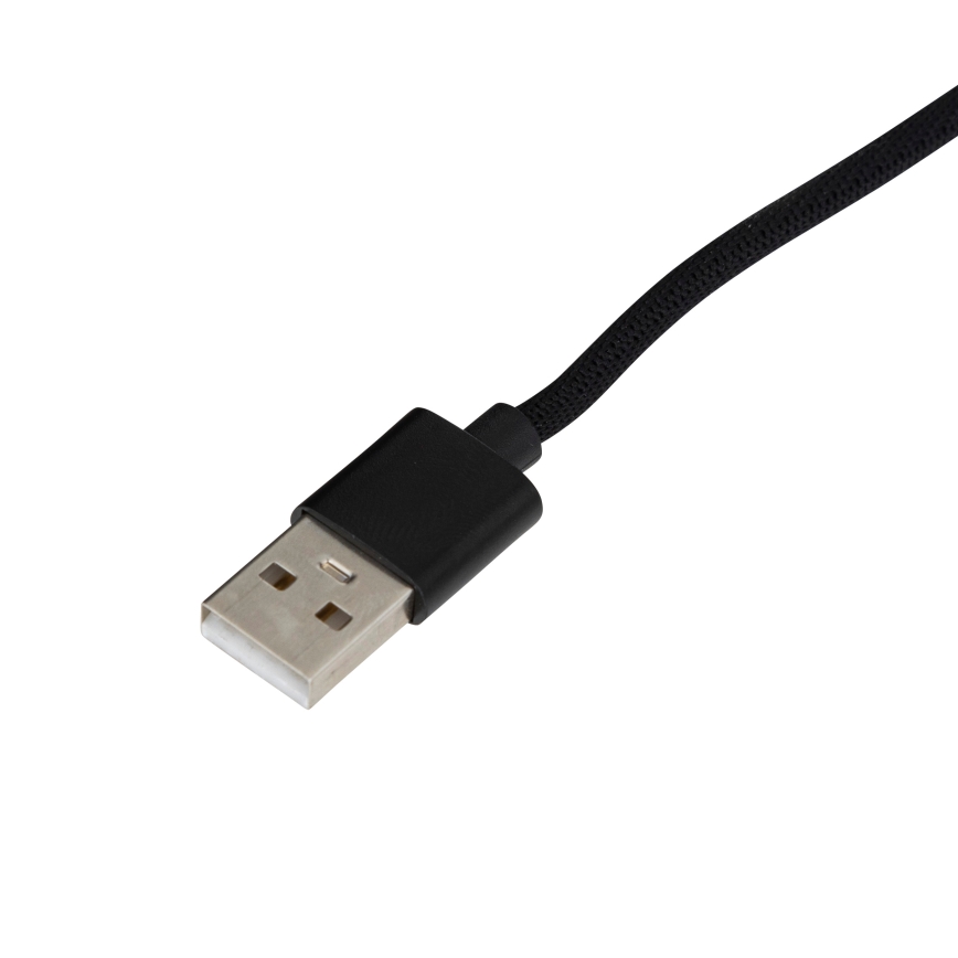 Atmosphera - LED RGB Hämardatav põrandalamp MESILANE LED/230V + kaugjuhtimispult