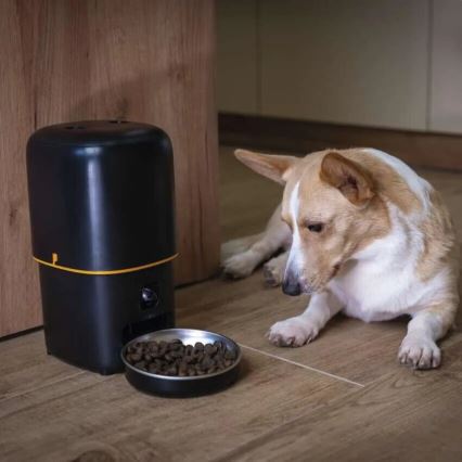 Automaatne toidujaotur mikrofoniga ja kaameraga 4l/5V/3xD Wi-Fi