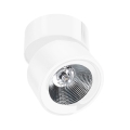 Azzardo AZ1618 - LED kohtvalgusti SCORPIO 1xLED/10W/230V