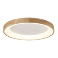Azzardo AZ2698 - LED-laelamp SILVAM LED/50W/230V