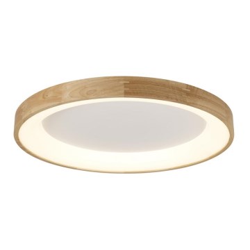 Azzardo AZ2698 - LED-laelamp SILVAM LED/50W/230V