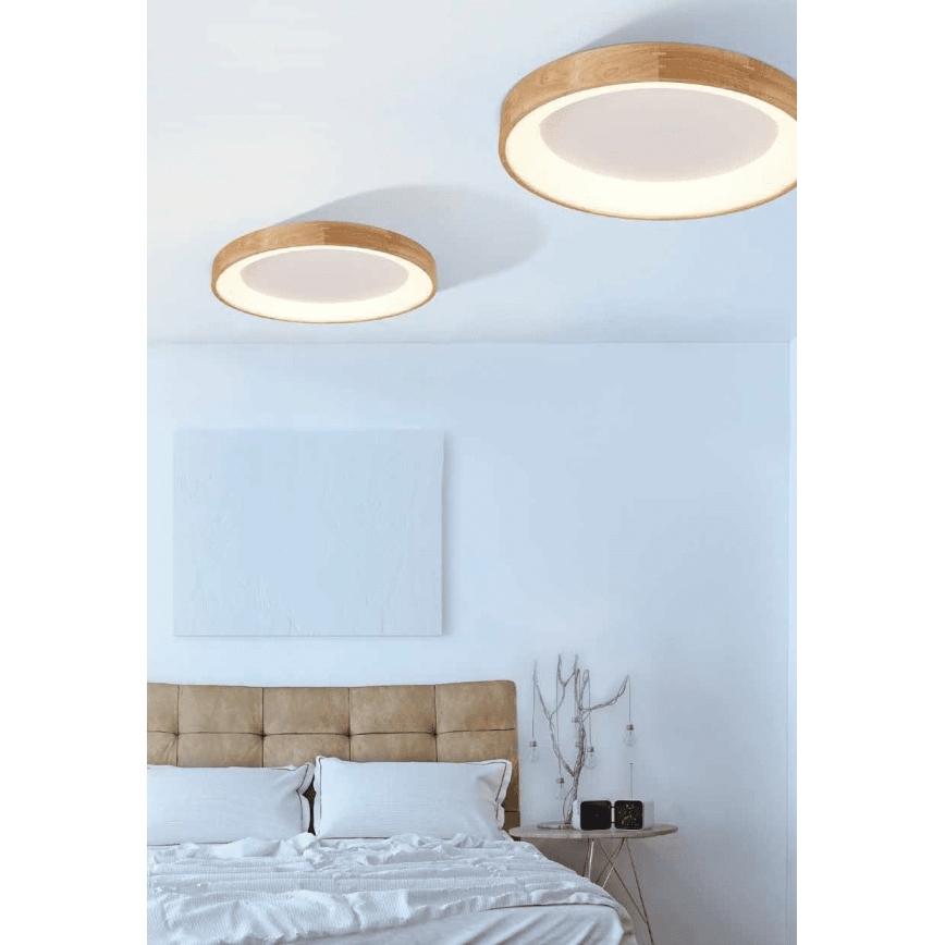 Azzardo AZ2698 - LED-laevalgusti SILVAM 1xLED/50W/230V