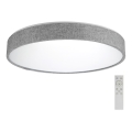 Azzardo AZ2717 - LED hämardatav laevalgusti COLLODI LED/50W/230V + kaugjuhtimispult