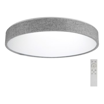 Azzardo AZ2717 - LED hämardatav laevalgusti COLLODI LED/50W/230V + kaugjuhtimispult