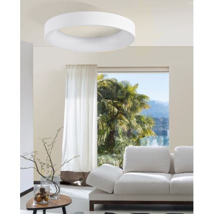 Azzardo AZ2724 - LED Hämardatav laevalgusti SOVANA 1xLED/50W/230V+ kaugjuhtimispult