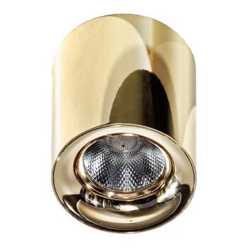 Azzardo AZ2846 - LED laevalgusti MANE LED/10W/230V