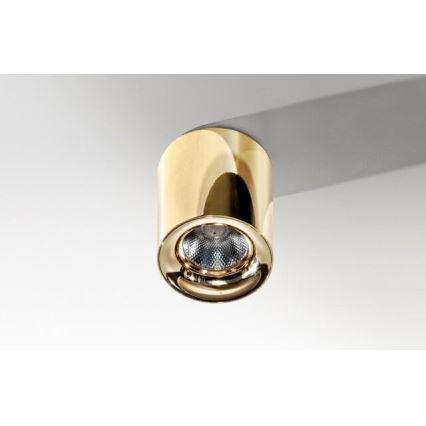 Azzardo AZ2846 - LED laevalgusti MANE LED/10W/230V