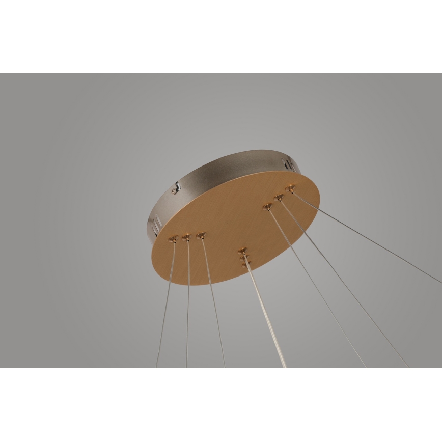 Azzardo AZ4429 - LED Lühter BRIGHTON LED/55W/230V kuldne