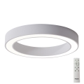 Azzardo AZ5037 - LED Hämardatav laevalgusti MARCO LED/80W/230V valge + kaugjuhtimispult