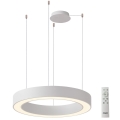 Azzardo AZ5052 - LED-hämardatav ripatsvalgusti kaablil MARCO LED/100W/230V valge + kaugjuhtimispult