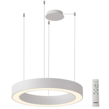 Azzardo AZ5052 - LED-hämardatav ripatsvalgusti kaablil MARCO LED/100W/230V valge + kaugjuhtimispult