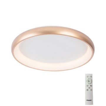 Azzardo AZ5073 - LED Hämardatav laevalgusti ANTONIO LED/50W/230V kuldne + kaugjuhtimispult