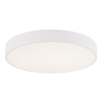 Azzardo AZ5084 - LED Hämardatav laevalgusti MARCELLO LED/80W/230V valge