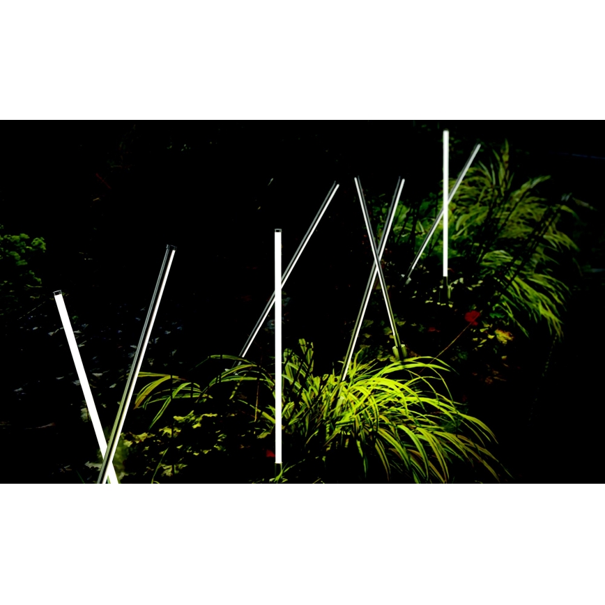 Azzardo AZ5337 - LED Välivalgusti FREDO LED/6W/230V IP54 58 cm