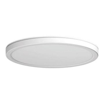 Azzardo AZ5367 - hämardatav LED-laevalgusti PANKA LED/32W/230V IP40 valge