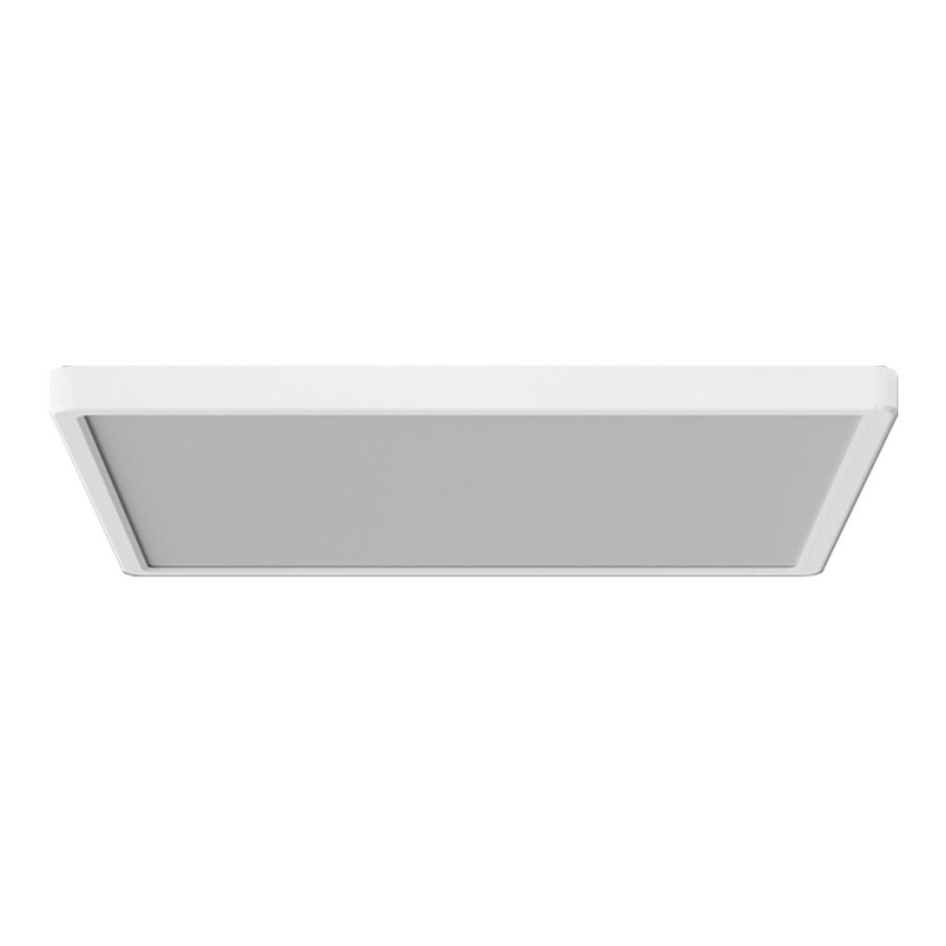 Azzardo AZ5373 -LED Hämardatav laevalgusti PANKA LED/45W/230V IP40 valge