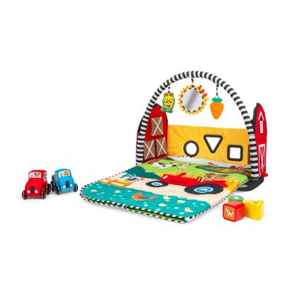 Baby Einstein - laste mängumatt BUSY BARNYARD 4xAA