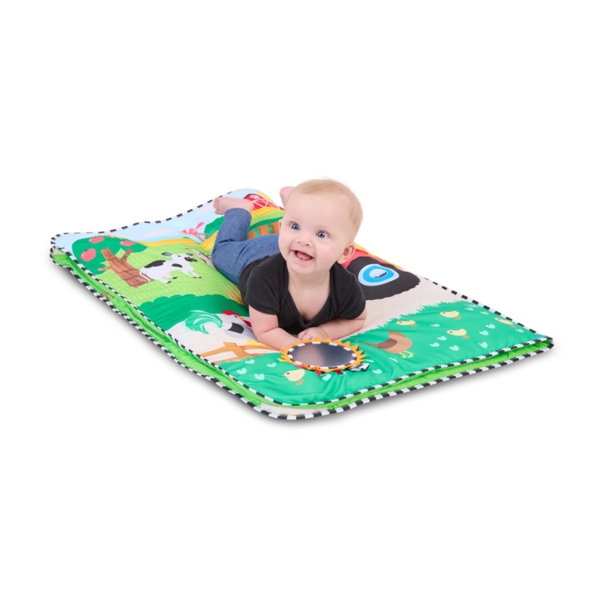 Baby Einstein - laste mängumatt BUSY BARNYARD 4xAA