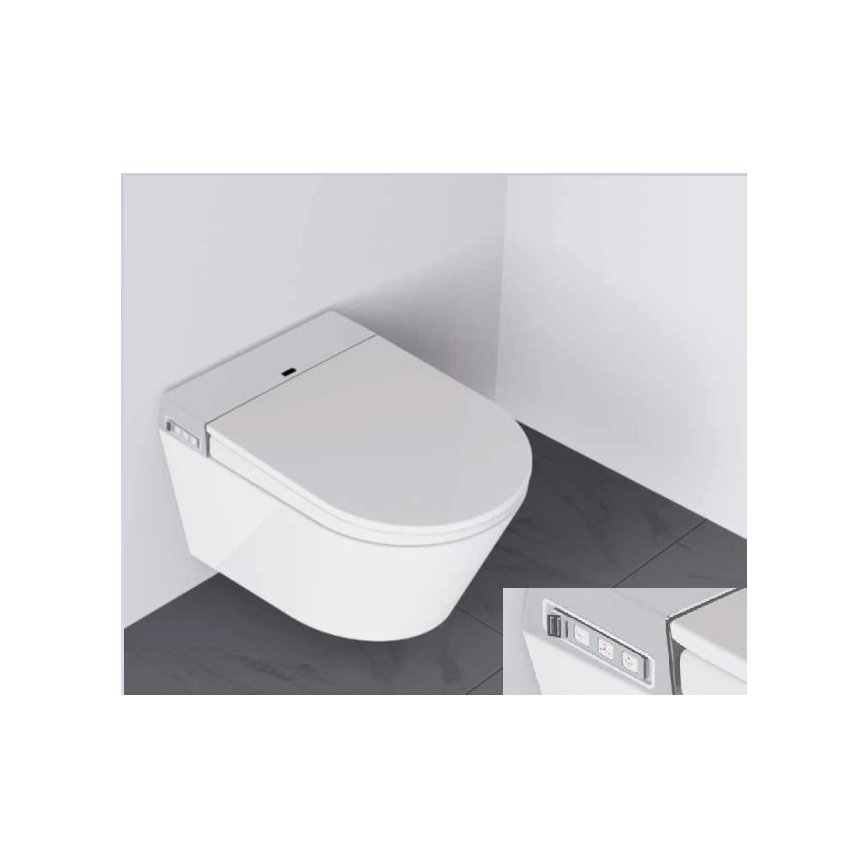 BATH DELUXE 21-040-02-11-00 - Seinale kinnitatav WC koos bidee ja WC istmega SoftClose TISVILDELEJE 1600W/230V valge + kaugjuhtimispult