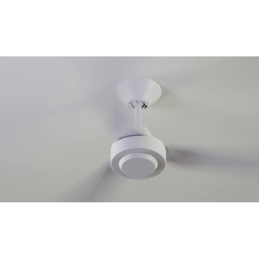 BAYSIDE 213015 - Laeventilaator CALYPSO valge