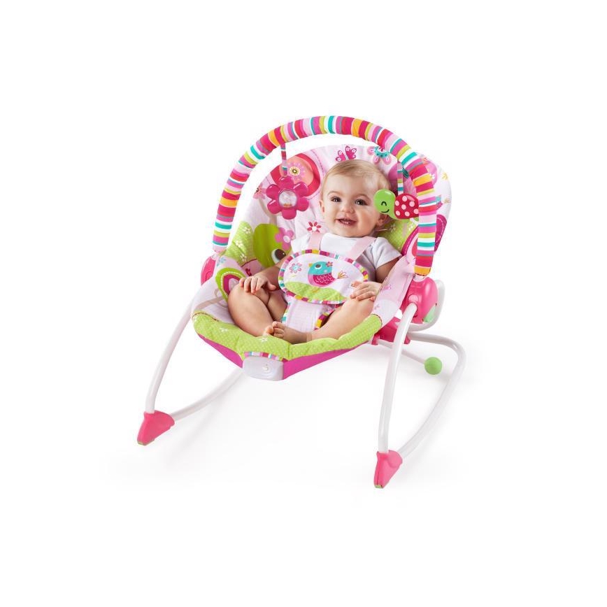 Bright Starts - Vibreerib lamamistool beebile RASPBERRY GARDEN