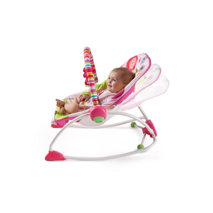 Bright Starts - Vibreerib lamamistool beebile RASPBERRY GARDEN