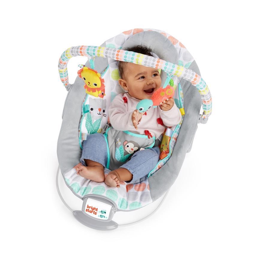 Bright Starts - Vibreeriv lamamistool muusikaga WHIMSICAL WILD 3xLR14
