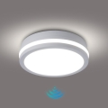 Brilagi - BENE LED-välislaelamp liikumisanduriga, 18W/230V, läbimõõt 21,5 cm, valge, IP54