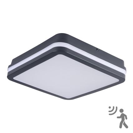 Brilagi - LED välisvalgusti liikumisanduriga BENE LED/24W/230V 26x26 cm antratsiit IP54