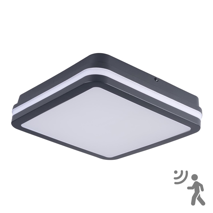 Brilagi - LED välisvalgusti liikumisanduriga BENE LED/24W/230V 26x26 cm antratsiit IP54