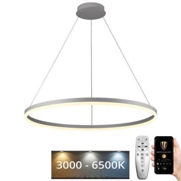 Brilagi - CIRCLE LED hämardatav rippvalgusti 55W/230V 3000-6500K läbimõõt 80 cm valge + kaugjuhtimispult