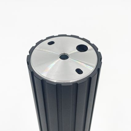 Brilagi - CRISPINA suunavalgusti 1xGU10/10W/230V, 20 cm, must