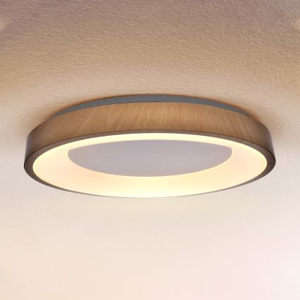 Brilagi - Hämardatav LED-laelamp DORIA LED/60W/230V 3000–6500 K Ø 60 cm + kaugjuhtimispult
