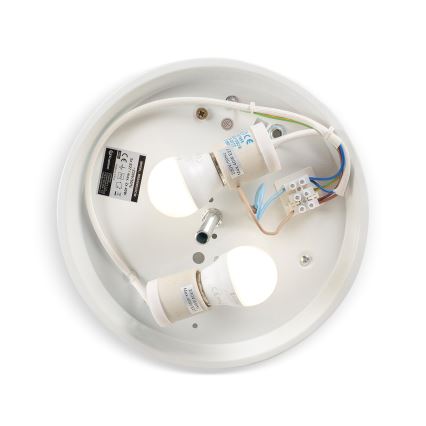 BRILAGI - FRESCO laelamp 2xE27/40W/230V läbimõõt 30 cm hõbedane