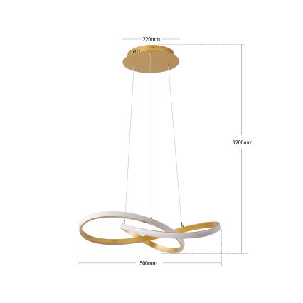 Brilagi - LED-hämardatav lühter kaablil INFINITY LED/55W/230V 3000-6000K 50x50 cm kuldne + kaugjuhtimispult