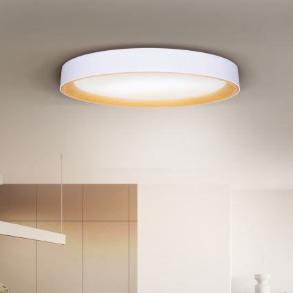 Brilagi - Hämardatav LED-laelamp LARIOS LED/72W/230V 3000-6500K valge Ø 59 cm + kaugjuhtimispult
